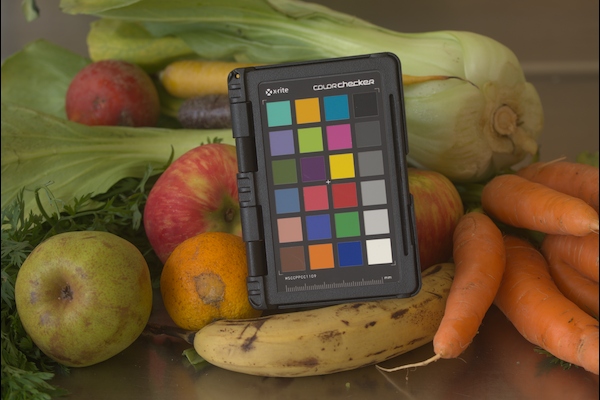 image displayed with no tone mapping: colors are faithful to original